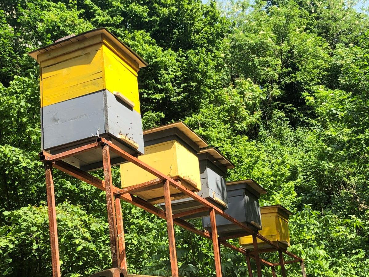 Chalet Kvariati Kültér fotó
